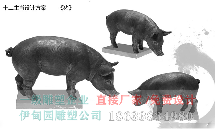 豬.jpg